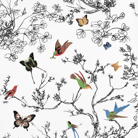 Schumacher Birds & Butterflies Multi On White Wallpaper