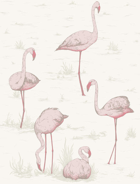 Cole & Son FLAMINGOS PINK/WHITE Wallpaper