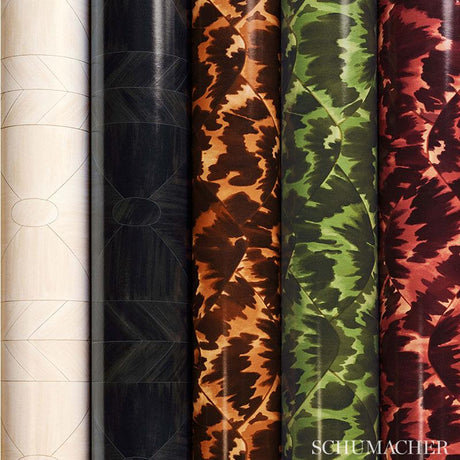 Schumacher Tortoise Amazon Wallpaper