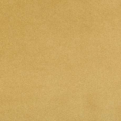 Kravet MADISON VELVET MARIGOLD Fabric