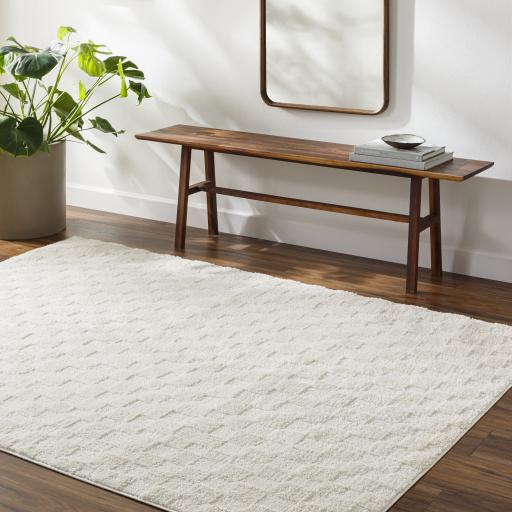 Surya Freud FEU-2306 Ivory Off-White 2'7" x 7'3" Rug