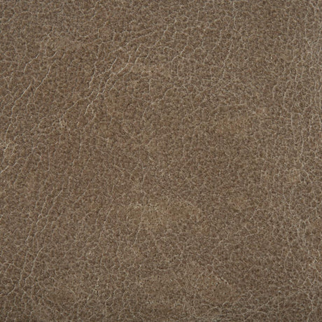 Kravet L-COSMO L-COSMO-CINDER Fabric