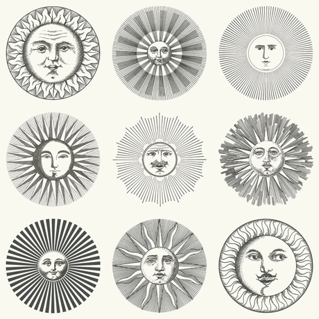 Cole & Son SOLI BLACK & WHITE Wallpaper