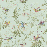 Cole & Son HUMMINGBIRDS SPA/MULTI Wallpaper